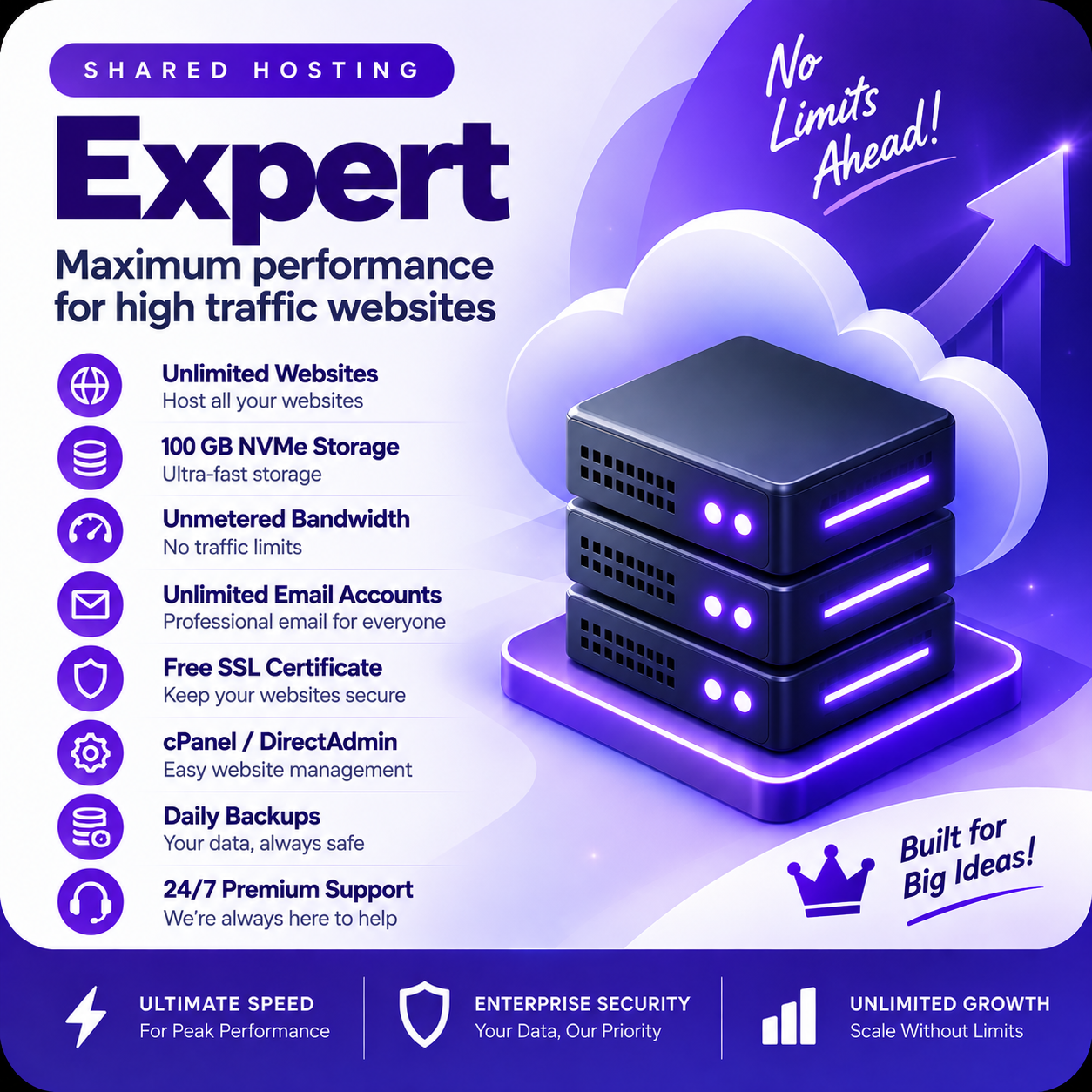 Expert Hosting 